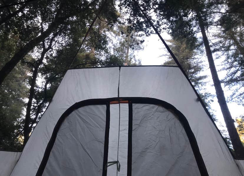 Azizah T.'s photo of tent camping at Huckleberry Campground CLOSED FOR FIRES near Capitola, CA