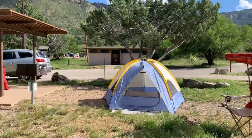 Azizah T.'s photo of camping with pets at Chisos Basin Campground (Big Bend, Tx) — Big Bend National Park in Texas