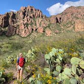 Review photo of Chisos Basin Campground (Big Bend, Tx) — Big Bend National Park by Azizah T., June 5, 2020