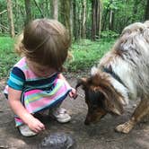 Review photo of Bledsoe Creek State Park Campground by Kristin D., June 5, 2020