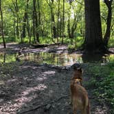 Review photo of Harry L Swartz Campground by Art S., June 5, 2020