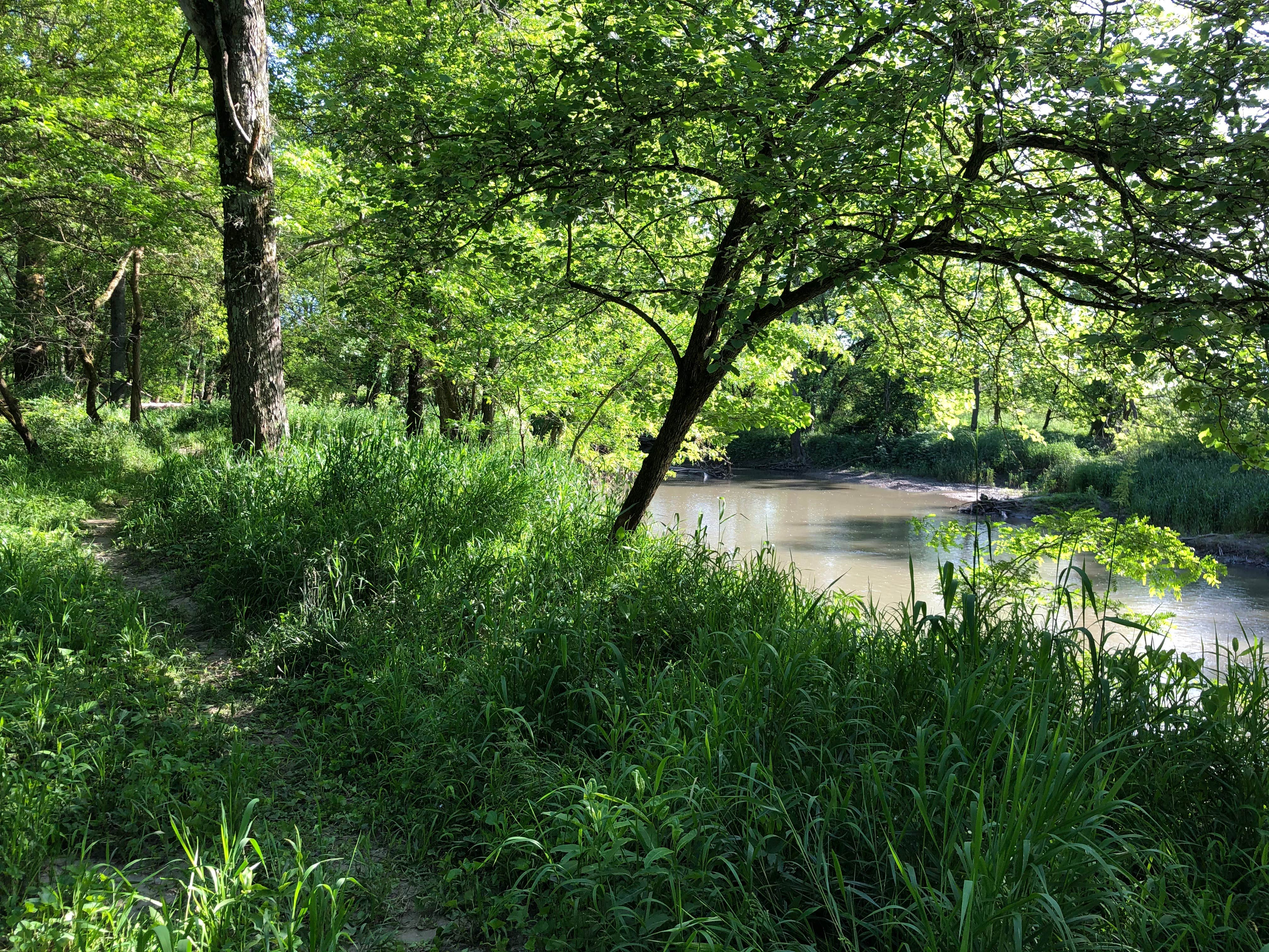 Camper-submitted photo at Harry L Swartz Campground near Danville, IL
