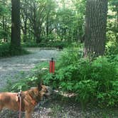 Review photo of Harry L Swartz Campground by Art S., June 5, 2020