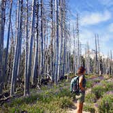 Review photo of Cloud Cap Saddle by Bridget H., June 5, 2020