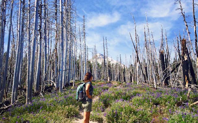 Camper submitted image from Cloud Cap Saddle - 3