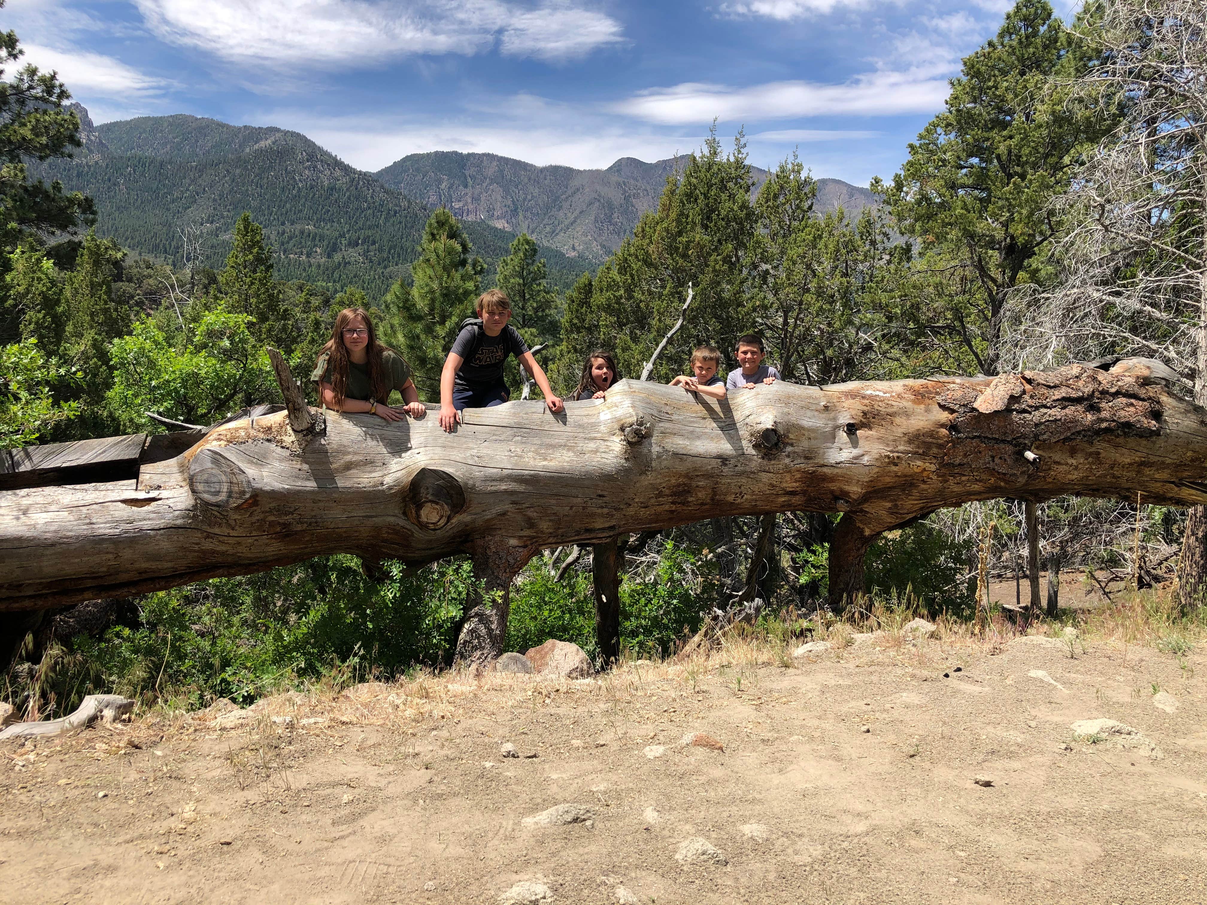 Camper-submitted photo at Mitt Moody Campground near Veyo, UT
