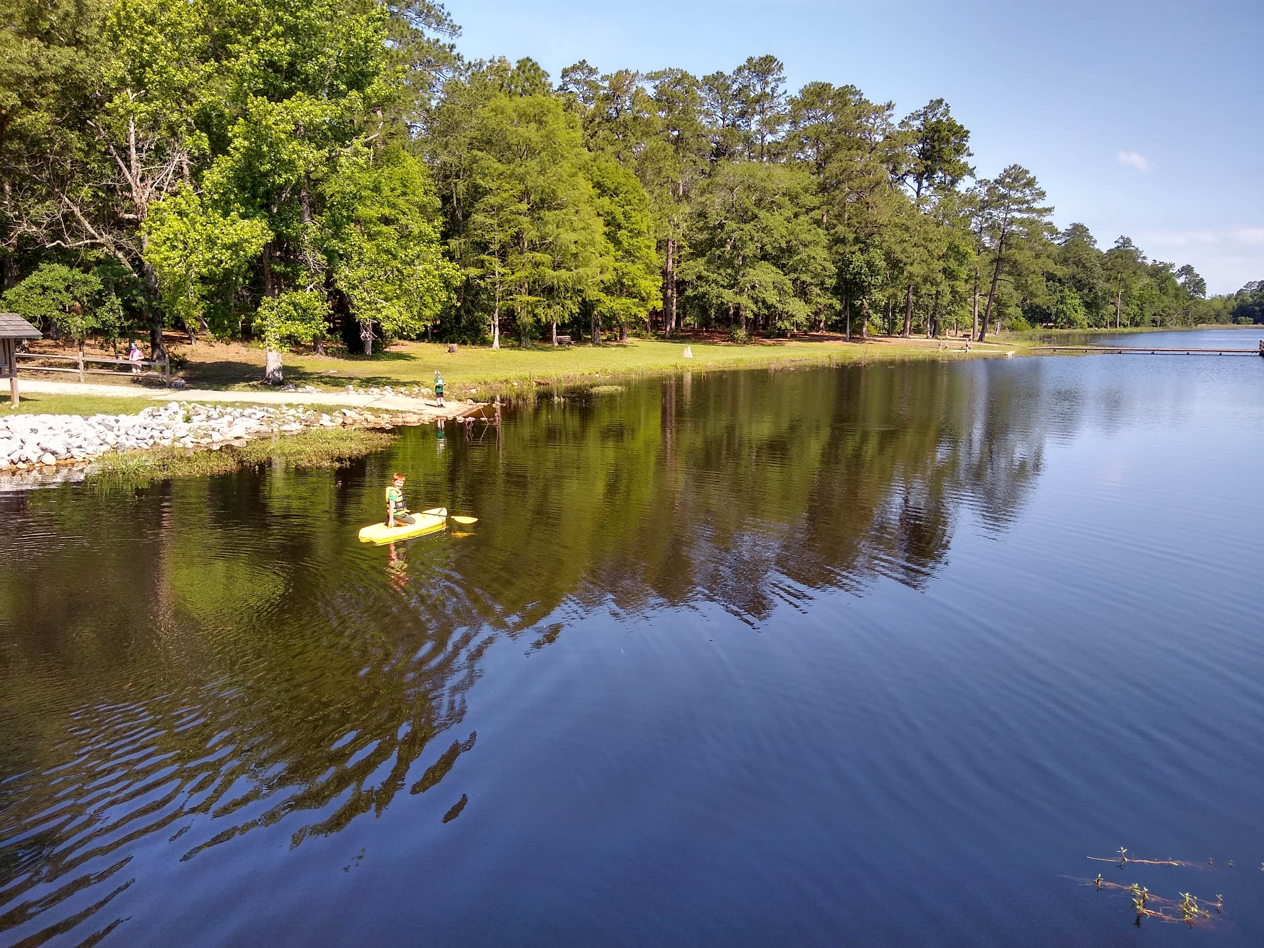 Camper submitted image from Little Pee Dee State Park Campground - 4