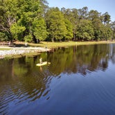 Review photo of Little Pee Dee State Park by Courtney B., June 5, 2020