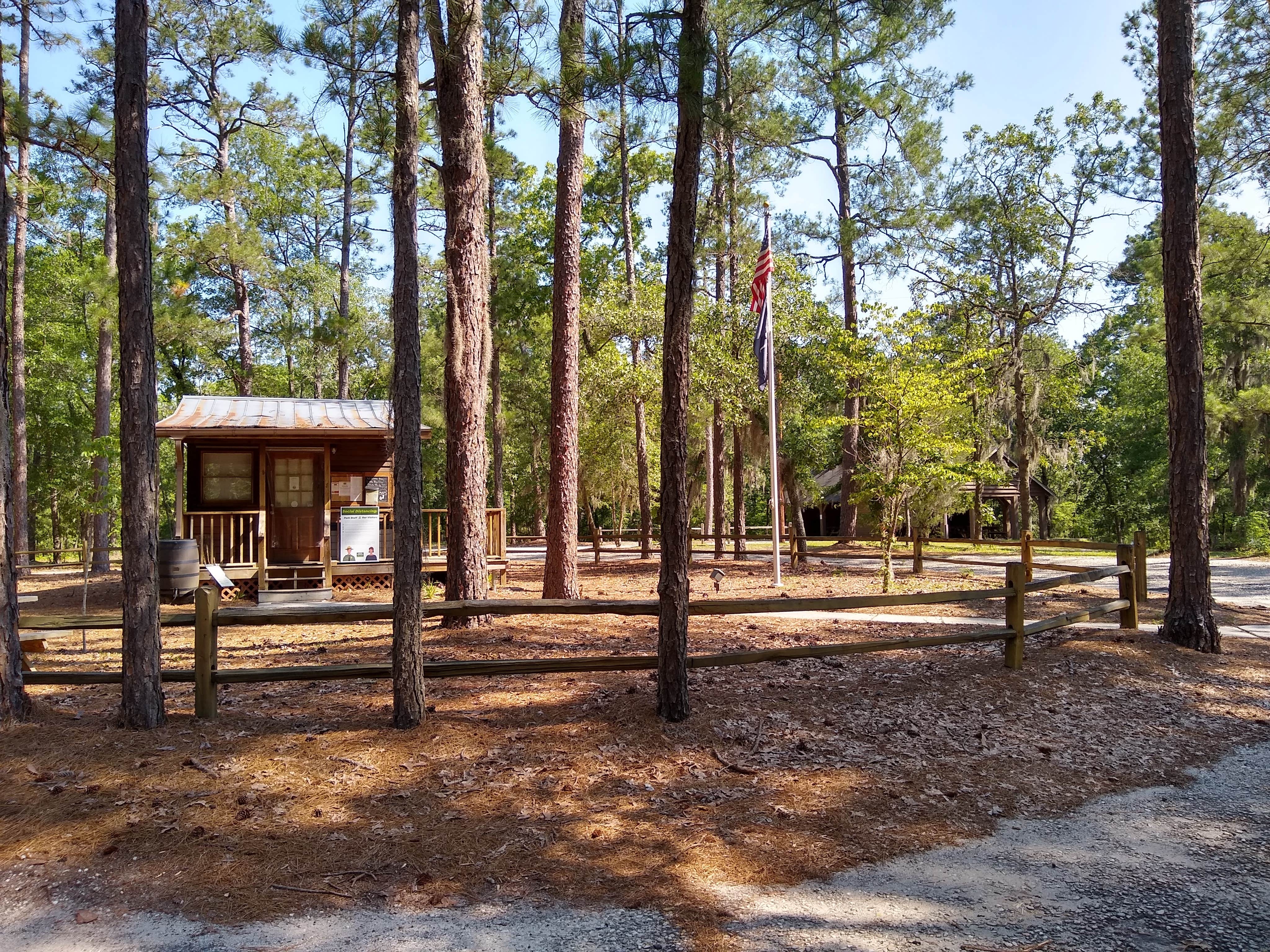 Courtney B.'s photo of glamping accommodations at Little Pee Dee State Park Campground near Little River, SC