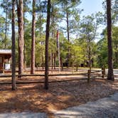 Review photo of Little Pee Dee State Park Campground by Courtney B., June 5, 2020