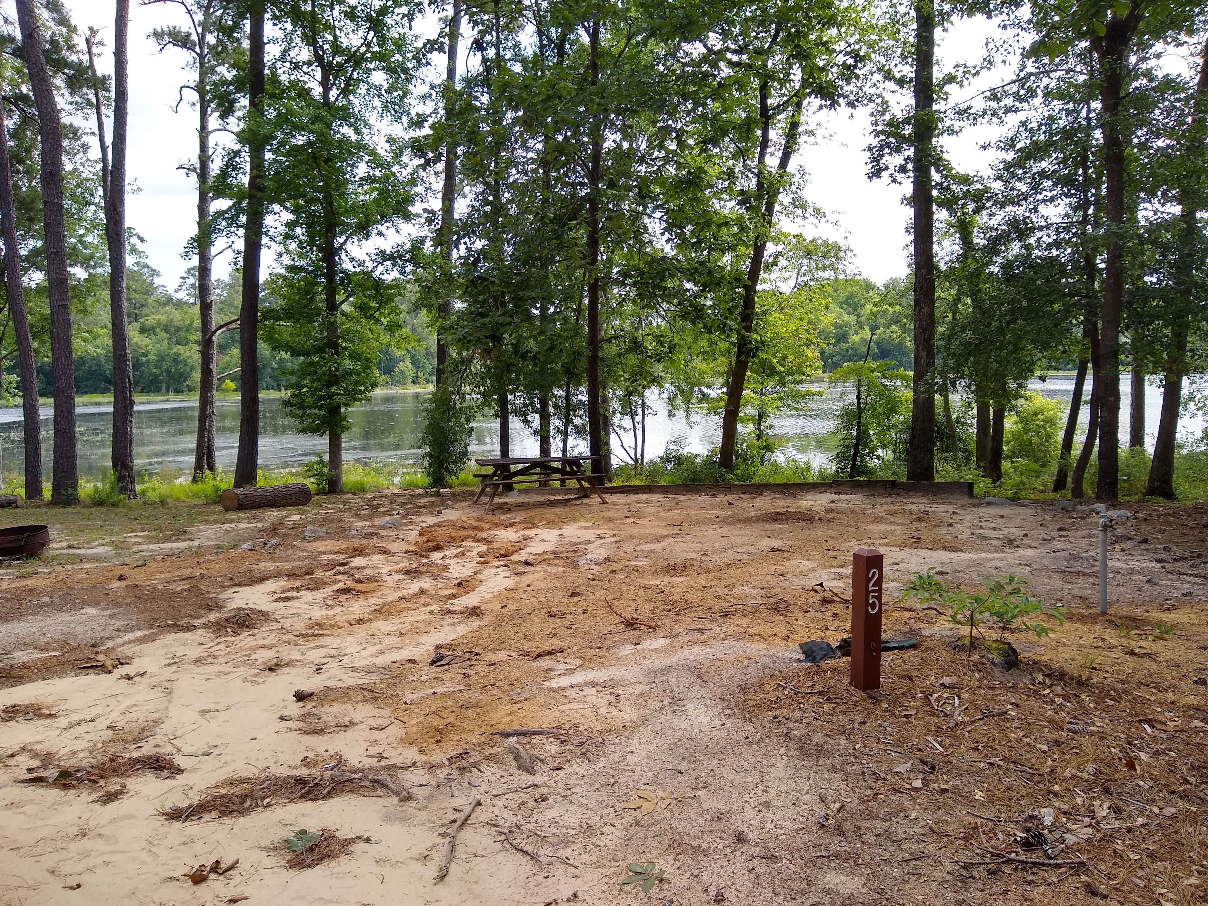 Camper-submitted photo at Little Pee Dee State Park Campground near Coward, SC