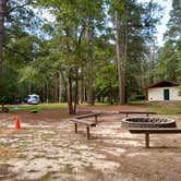 Review photo of Little Pee Dee State Park Campground by Courtney B., June 5, 2020