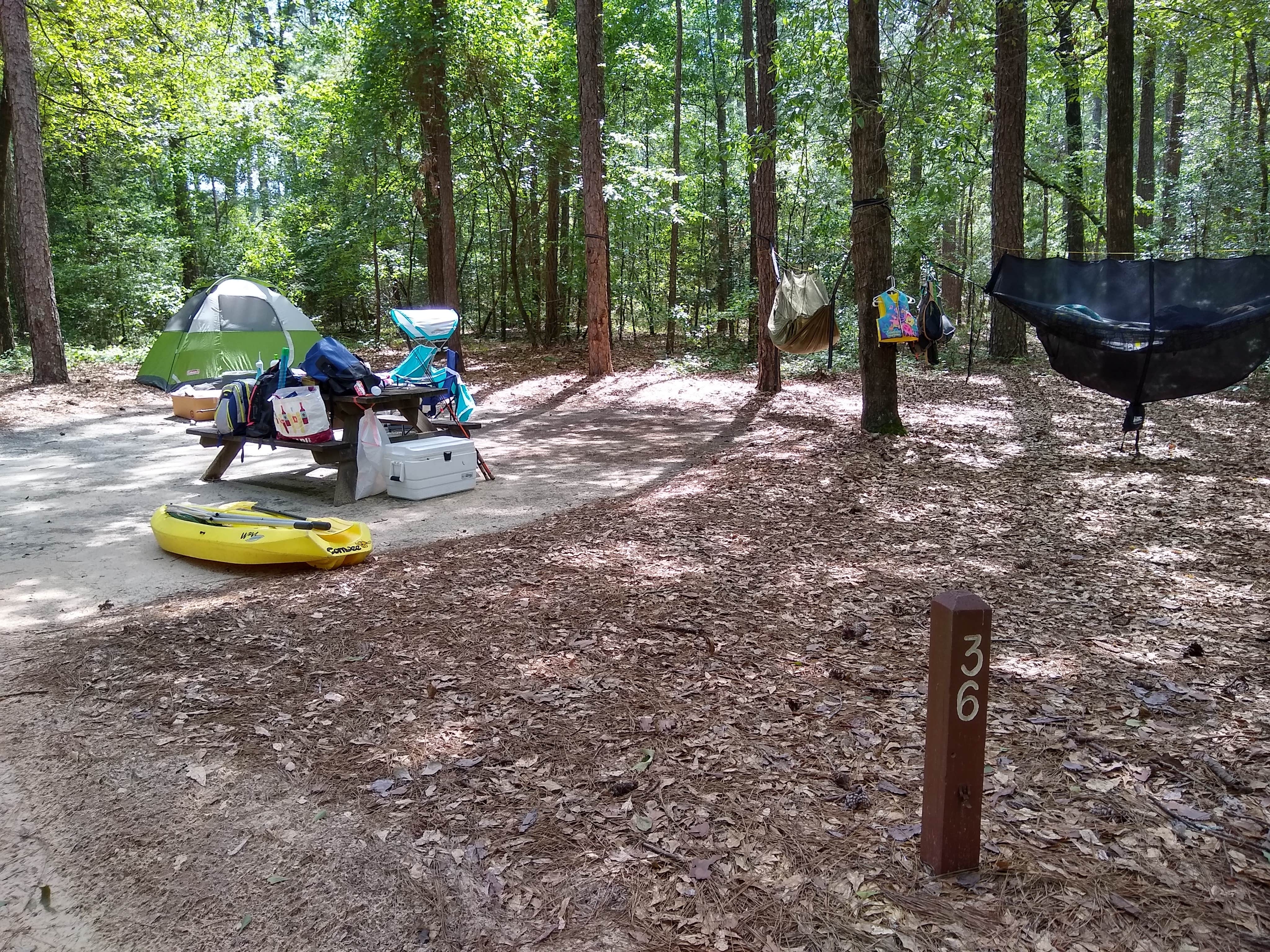Courtney B.'s photo at Little Pee Dee State Park Campground near Darlington, SC