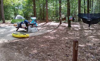 Courtney B.'s photo at Little Pee Dee State Park Campground near Timmonsville, SC