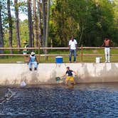 Review photo of Little Pee Dee State Park Campground by Courtney B., June 5, 2020