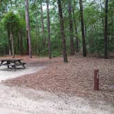 Review photo of Little Pee Dee State Park Campground by Courtney B., June 5, 2020