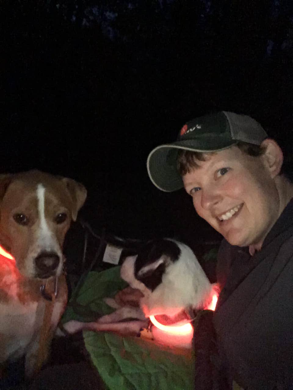Sarah C.'s photo of camping with pets at Hastings Campground near Chatham, NH