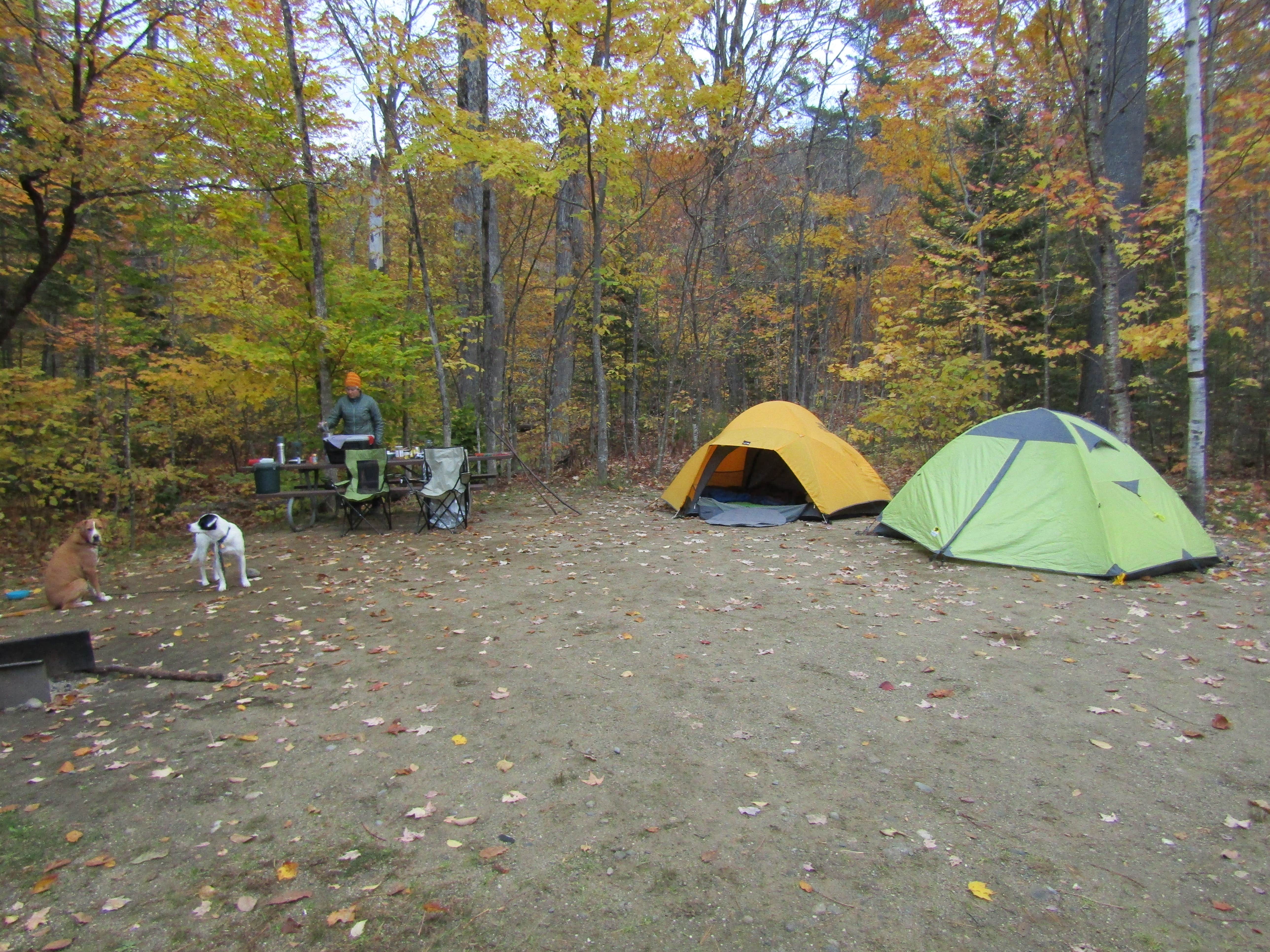 Sarah C.'s photo at Hastings Campground near Bryant Pond, ME