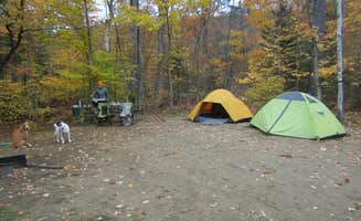 Sarah C.'s photo at Hastings Campground near Gilead, ME
