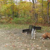 Review photo of Hastings Campground by Sarah C., June 5, 2020