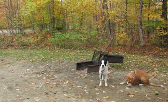 Sarah C.'s photo of camping with pets at Hastings Campground near Dixfield, ME