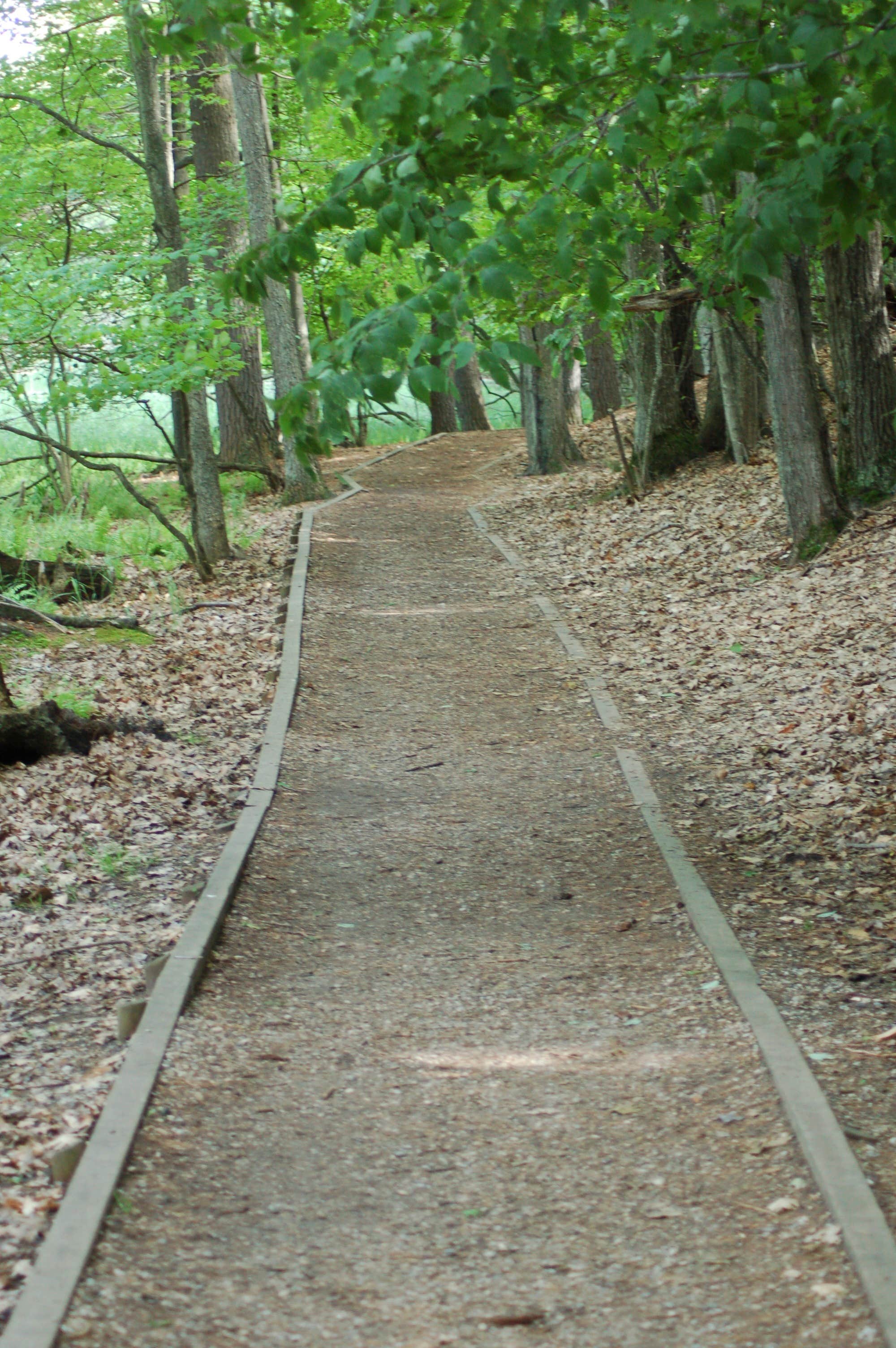 Camper submitted image from Cedar Campground — Ludington State Park - 3