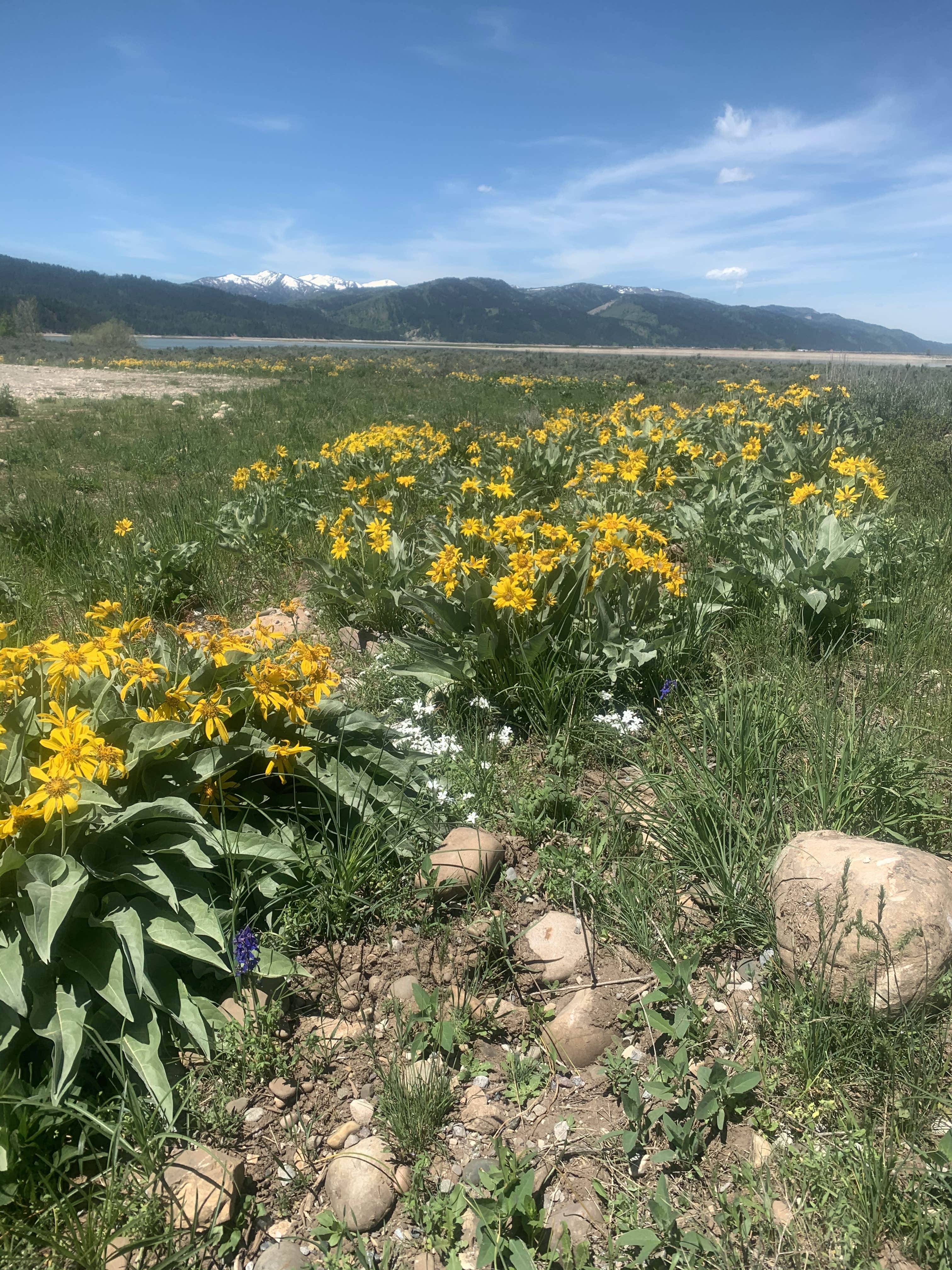 Camper-submitted photo at Palisades Reservoir near Alpine, WY
