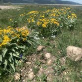 Review photo of Palisades Reservoir by Katherine B., June 5, 2020