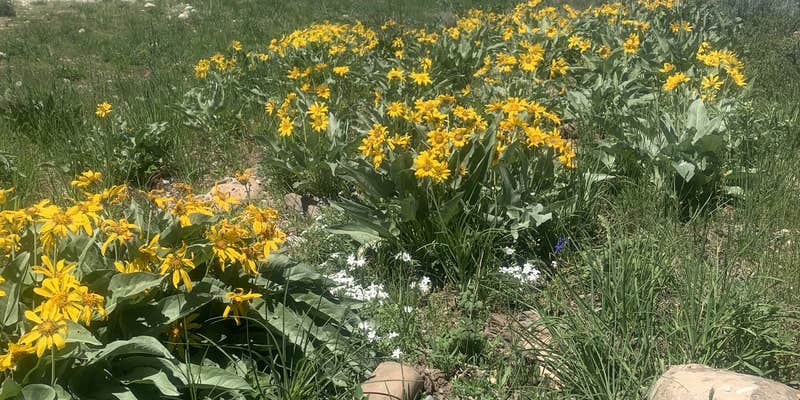 Camper submitted image from Palisades Reservoir