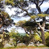 Review photo of Blackwoods Campground — Acadia National Park by Daniel S., October 14, 2017