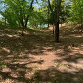 Review photo of Nordhouse Dunes Wilderness by Rachael D., June 6, 2020