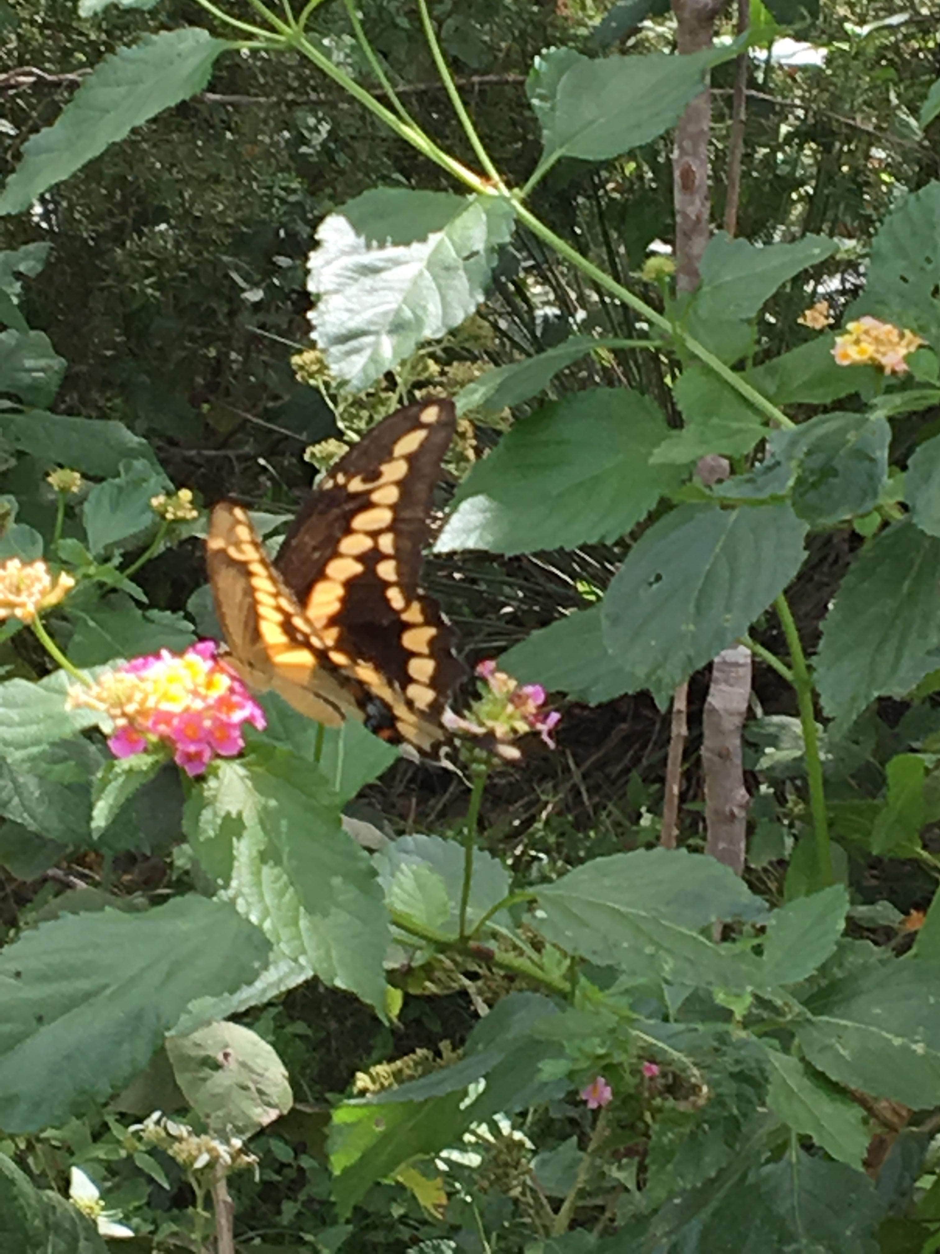 Camper-submitted photo at Fishers of Men Ranch near Burnet, TX