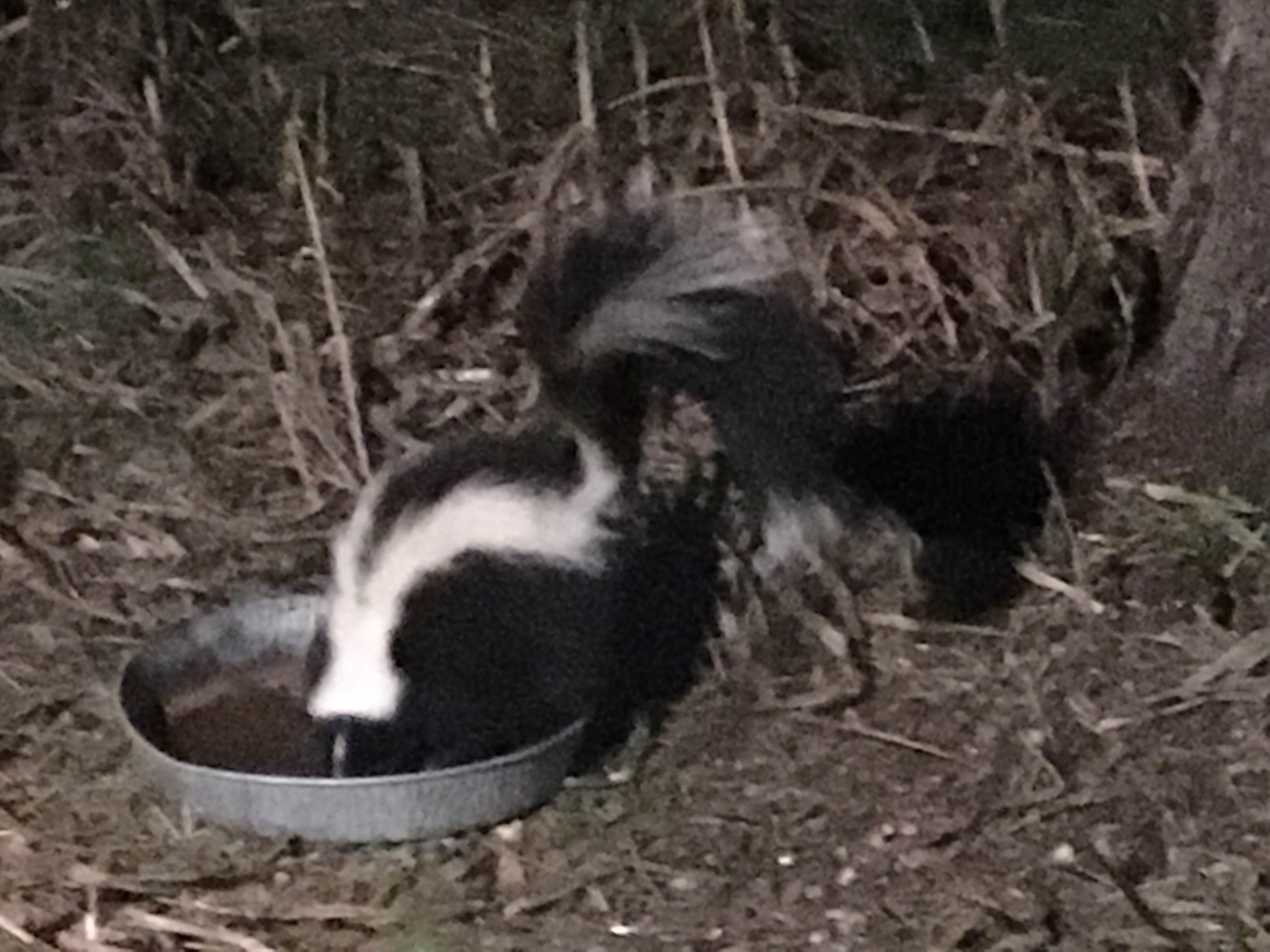 Camper-submitted photo at Fishers of Men Ranch near Burnet, TX