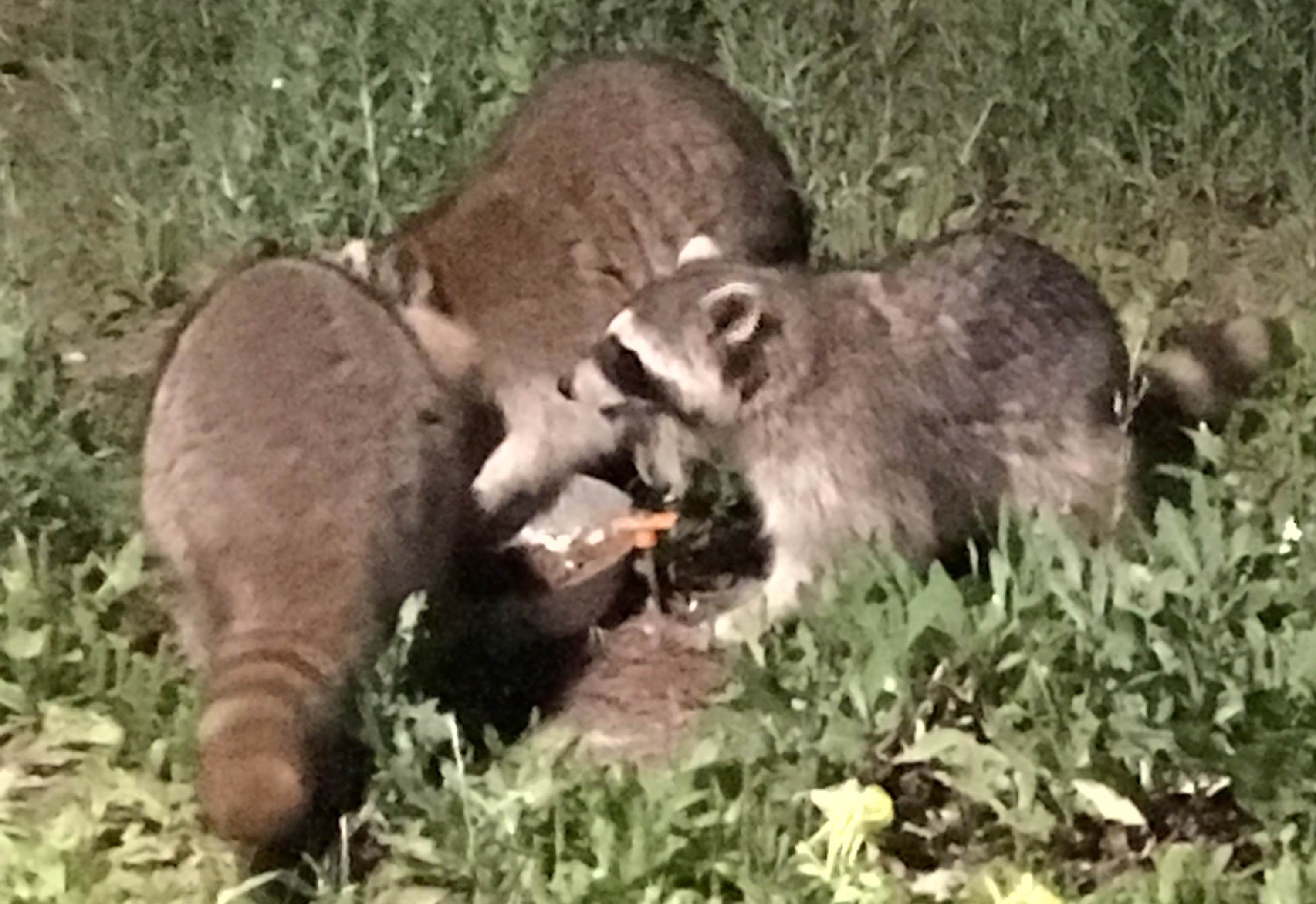 Camper-submitted photo at Fishers of Men Ranch near Burnet, TX