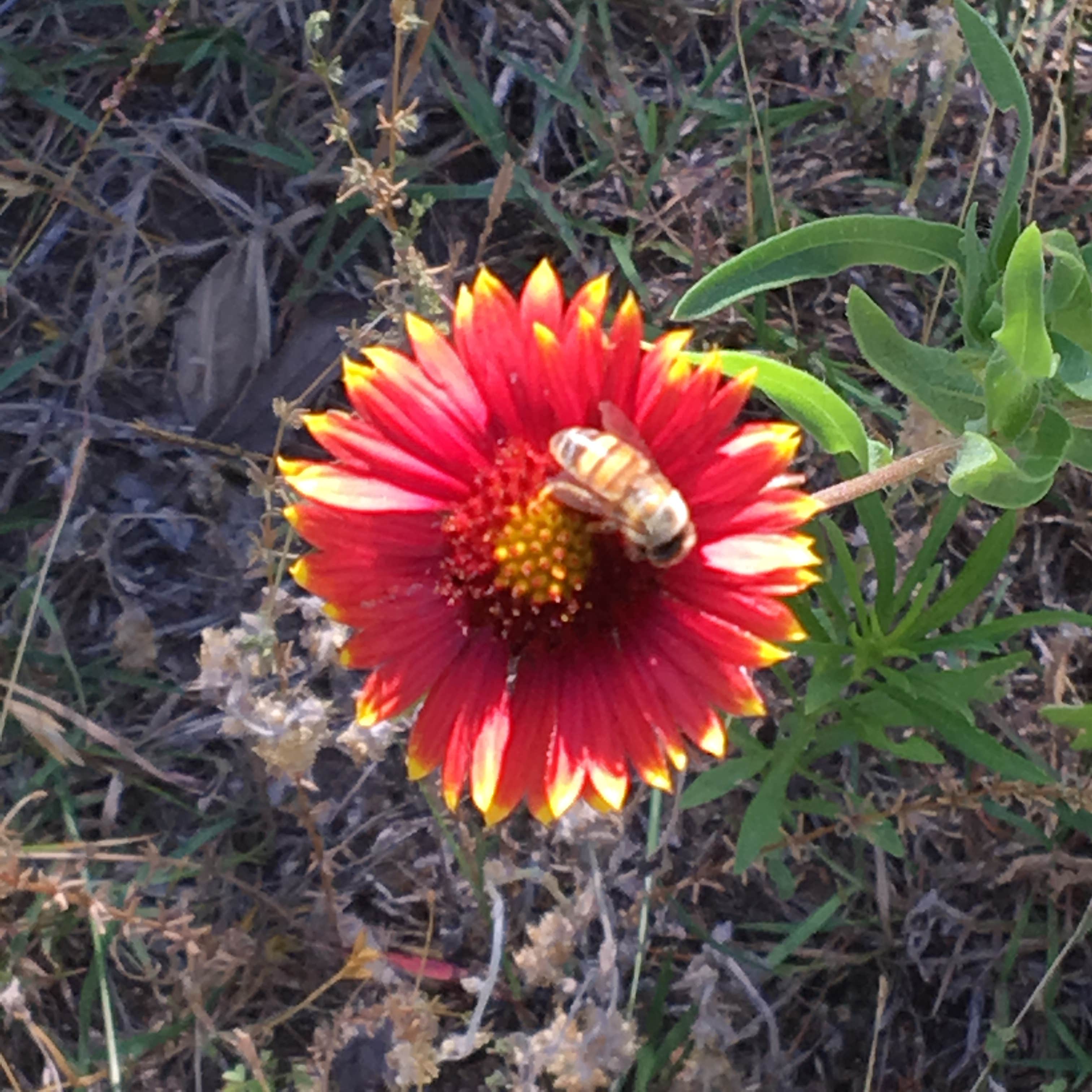 Camper-submitted photo at Fishers of Men Ranch near Burnet, TX