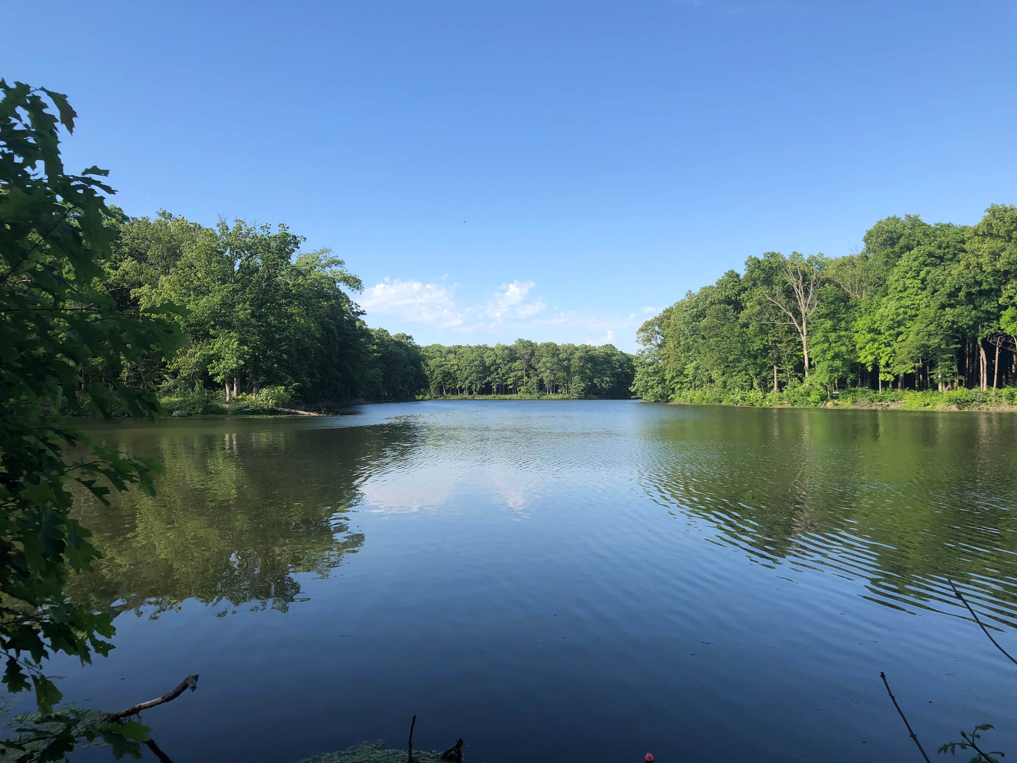 Camper submitted image from Walnut Point State Park Campground - 5