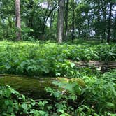 Review photo of Walnut Point State Park Campground by Rachel H., June 6, 2020