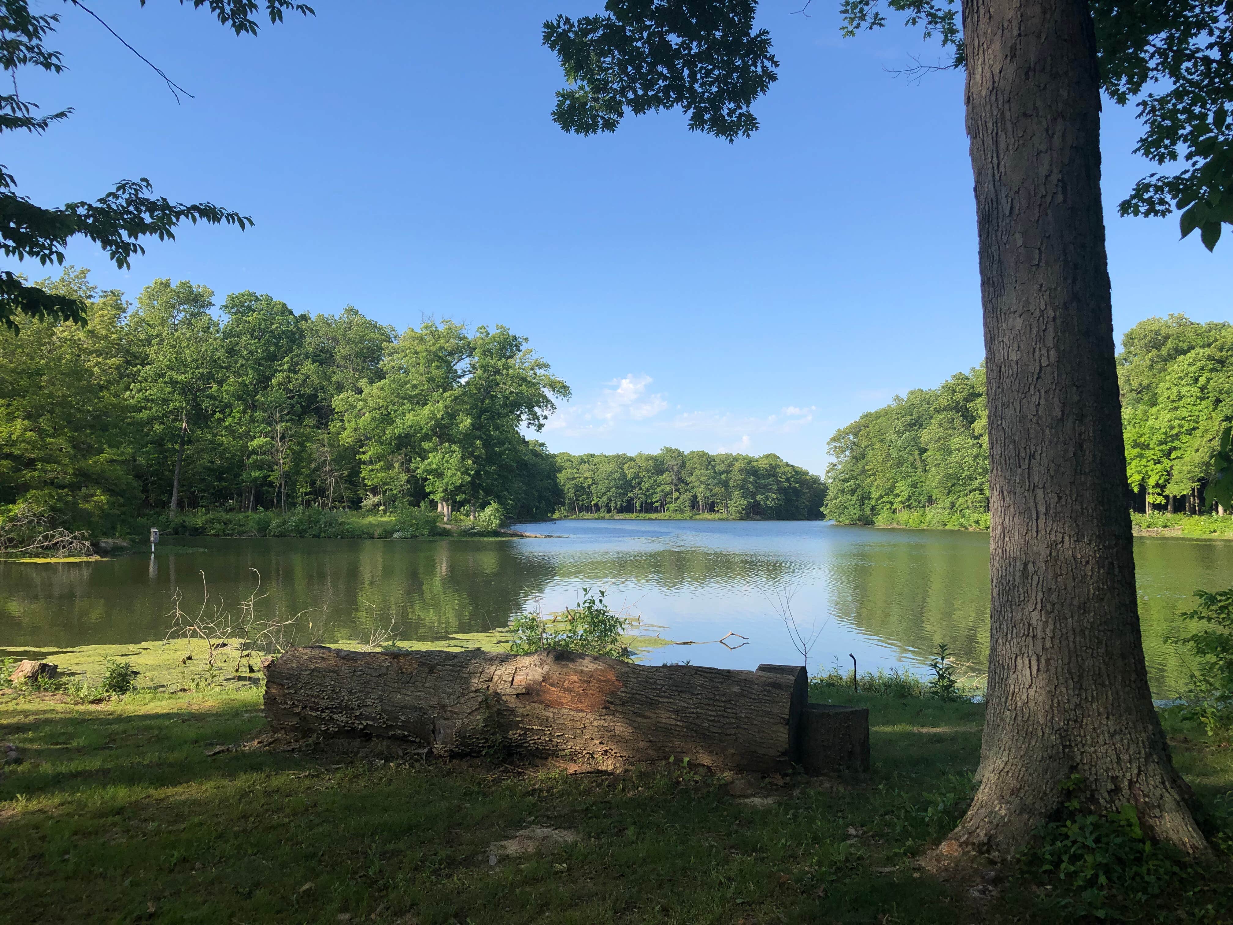 Camper-submitted photo at Walnut Point State Park Campground near Charleston, IL