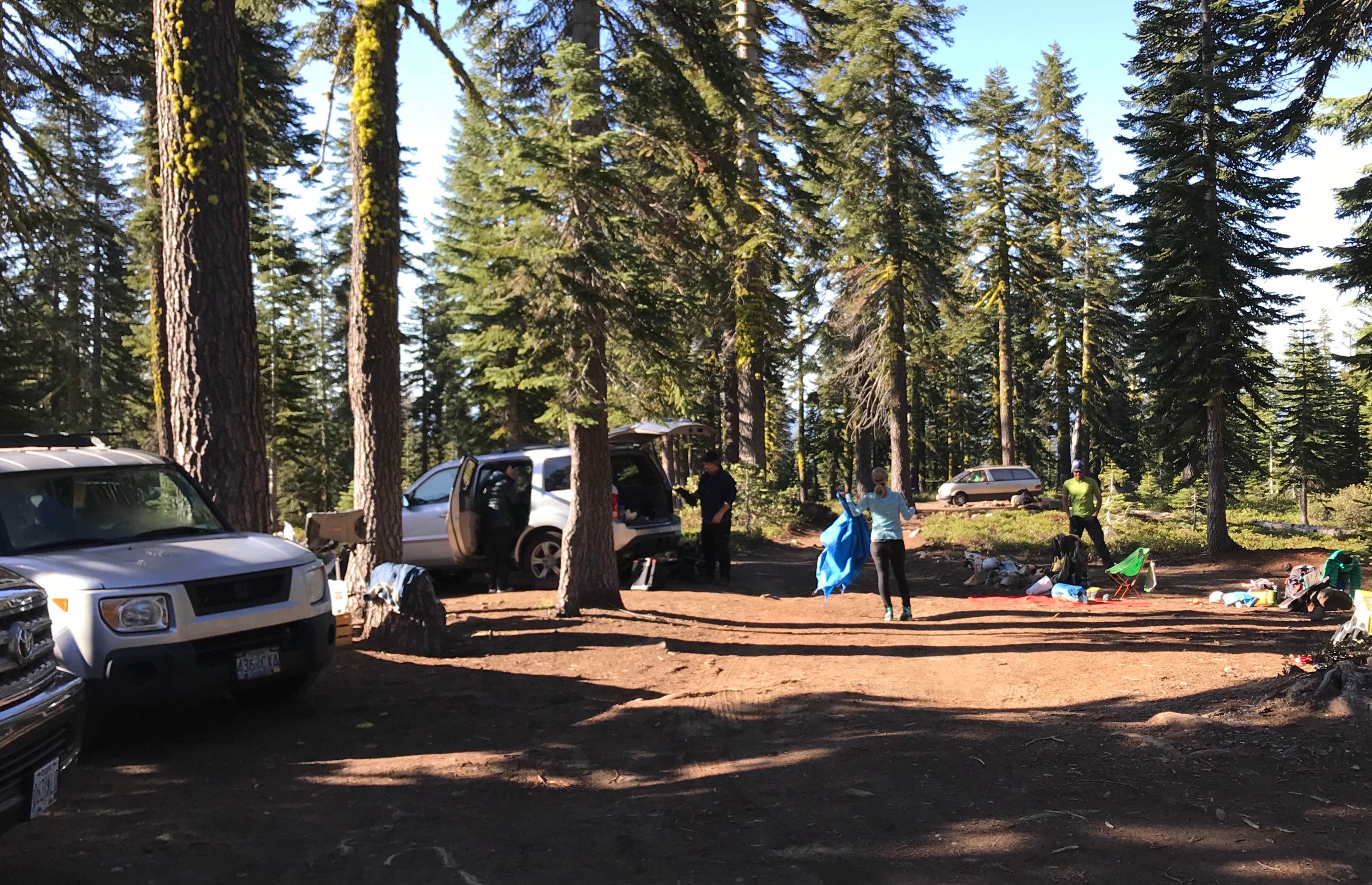 Camper submitted image from Bunny Flats Camp - 4