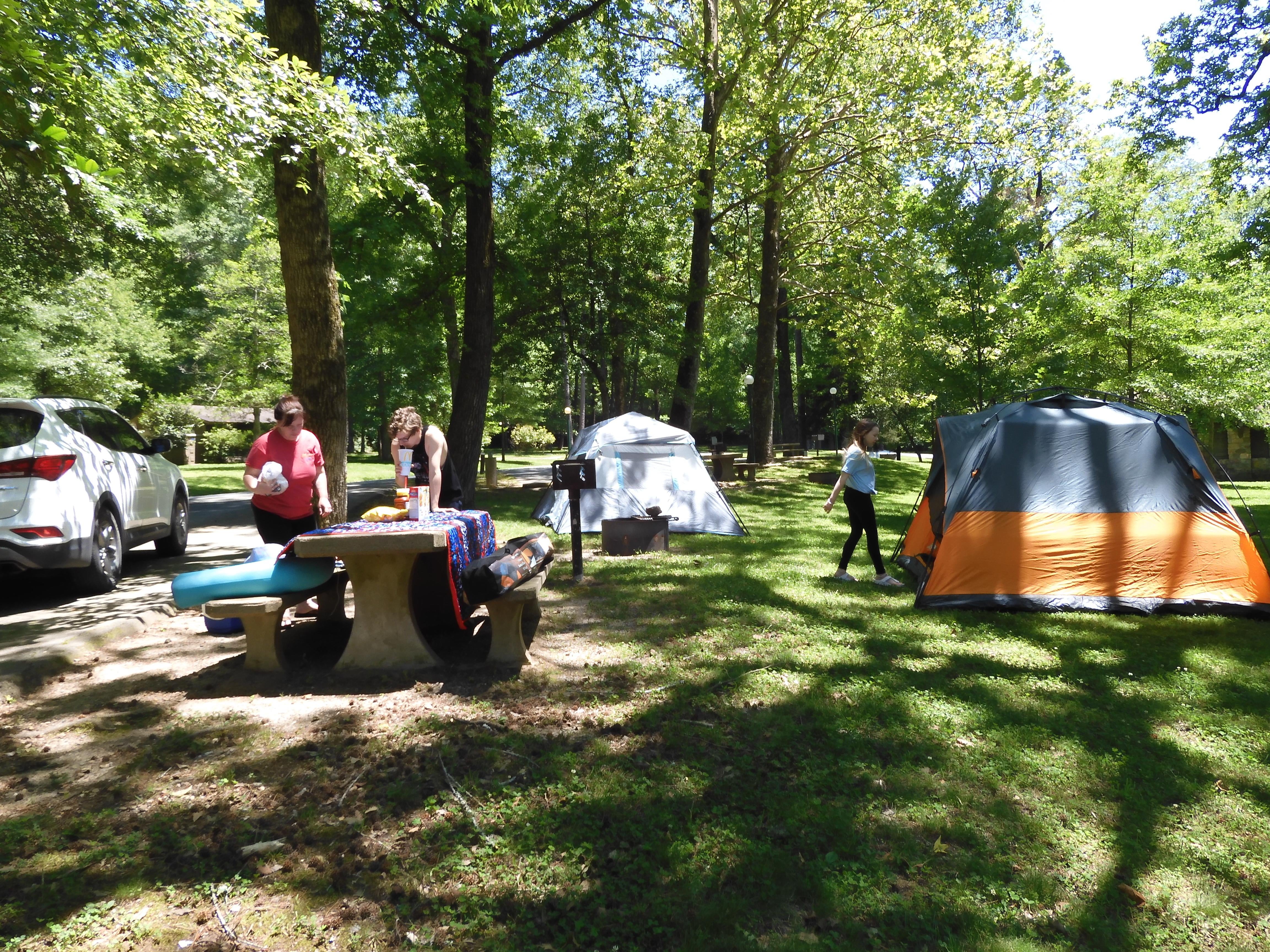 Tent Camping

There are opportunities for tent camping at Gulpha Gorge.

Credit: NPS Photo/Lissa Allen