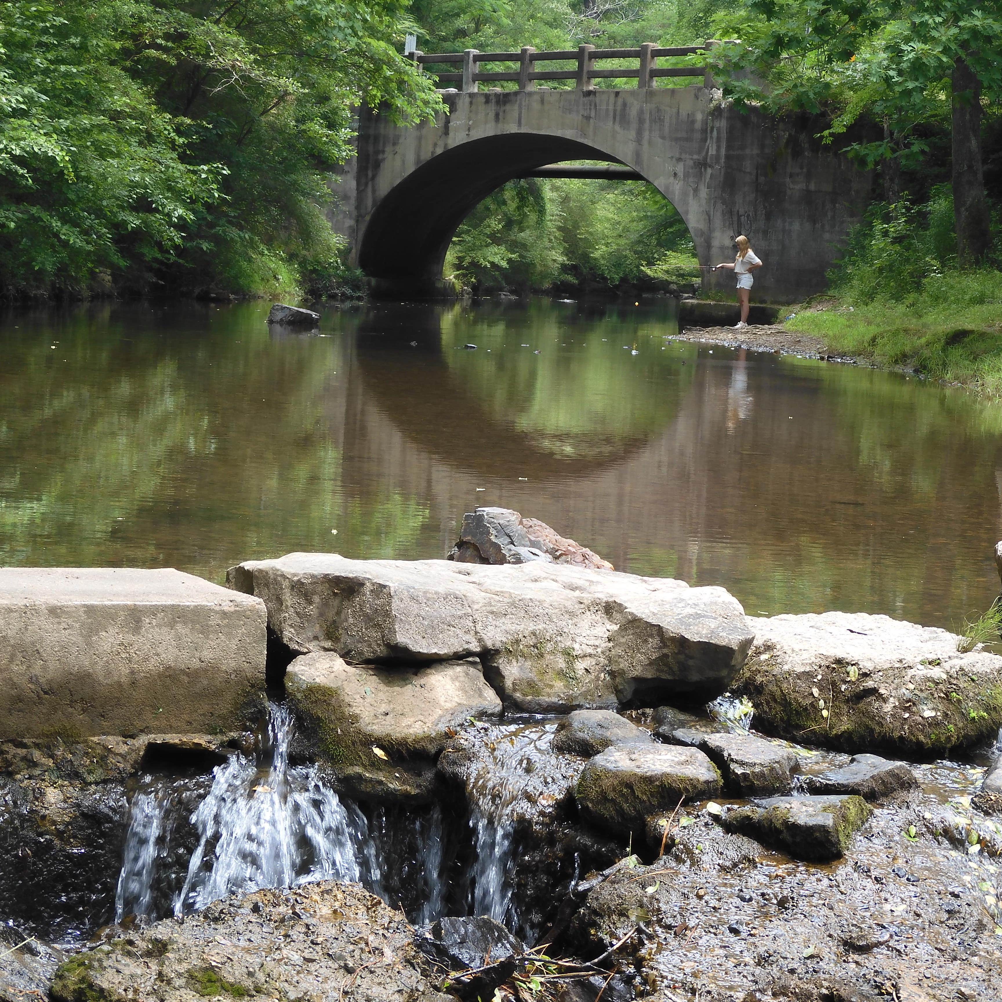 Gulpha Gorge Campground — Hot Springs National Park