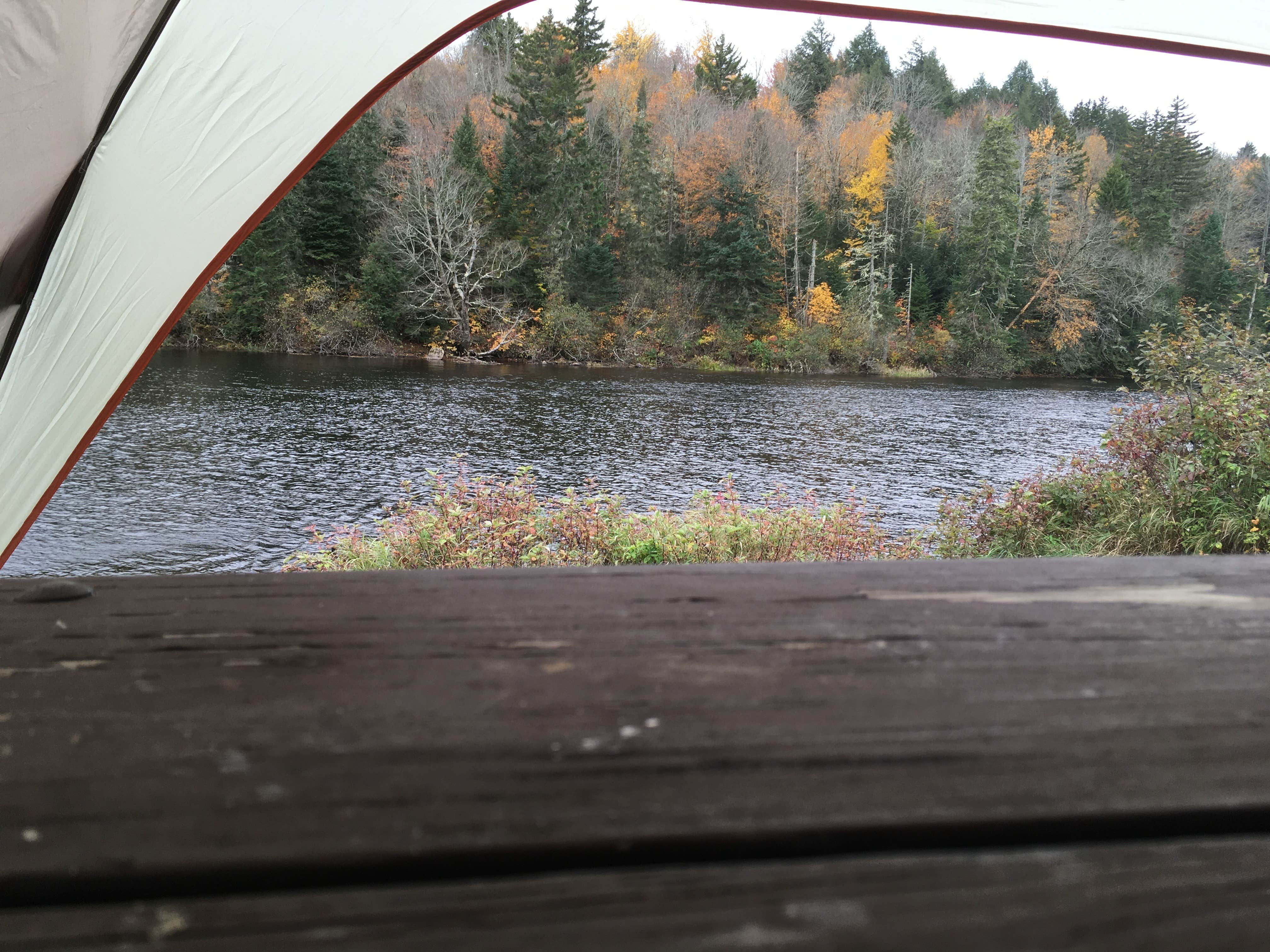 Sarah C.'s photo at Mollidgewock State Park Campground near Colebrook, NH