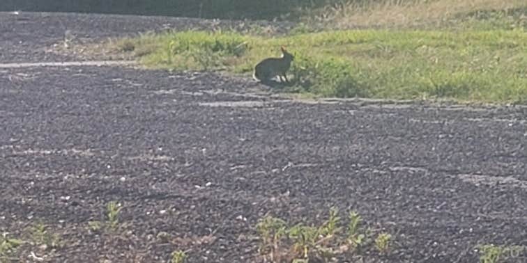 Camper submitted image from Friendship Park