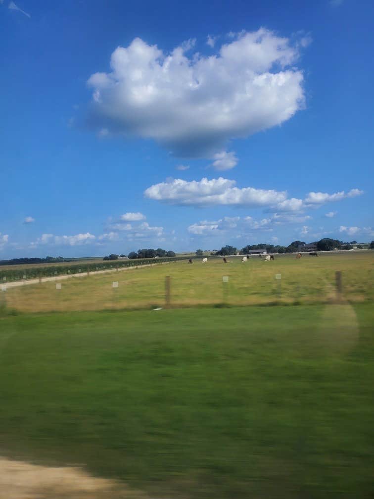 Camper-submitted photo at Friendship Park near Cameron, TX