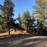 Review photo of Tarryall Creek- Dispersed Camping by Courtney L., June 6, 2020