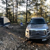 Review photo of Tarryall Creek- Dispersed Camping by Courtney L., June 6, 2020