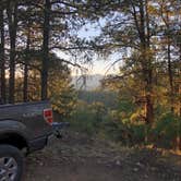 Review photo of Dispersed Camp off Tarryall by Courtney L., June 6, 2020