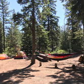 Review photo of Scout Lake by Bridget H., June 6, 2020