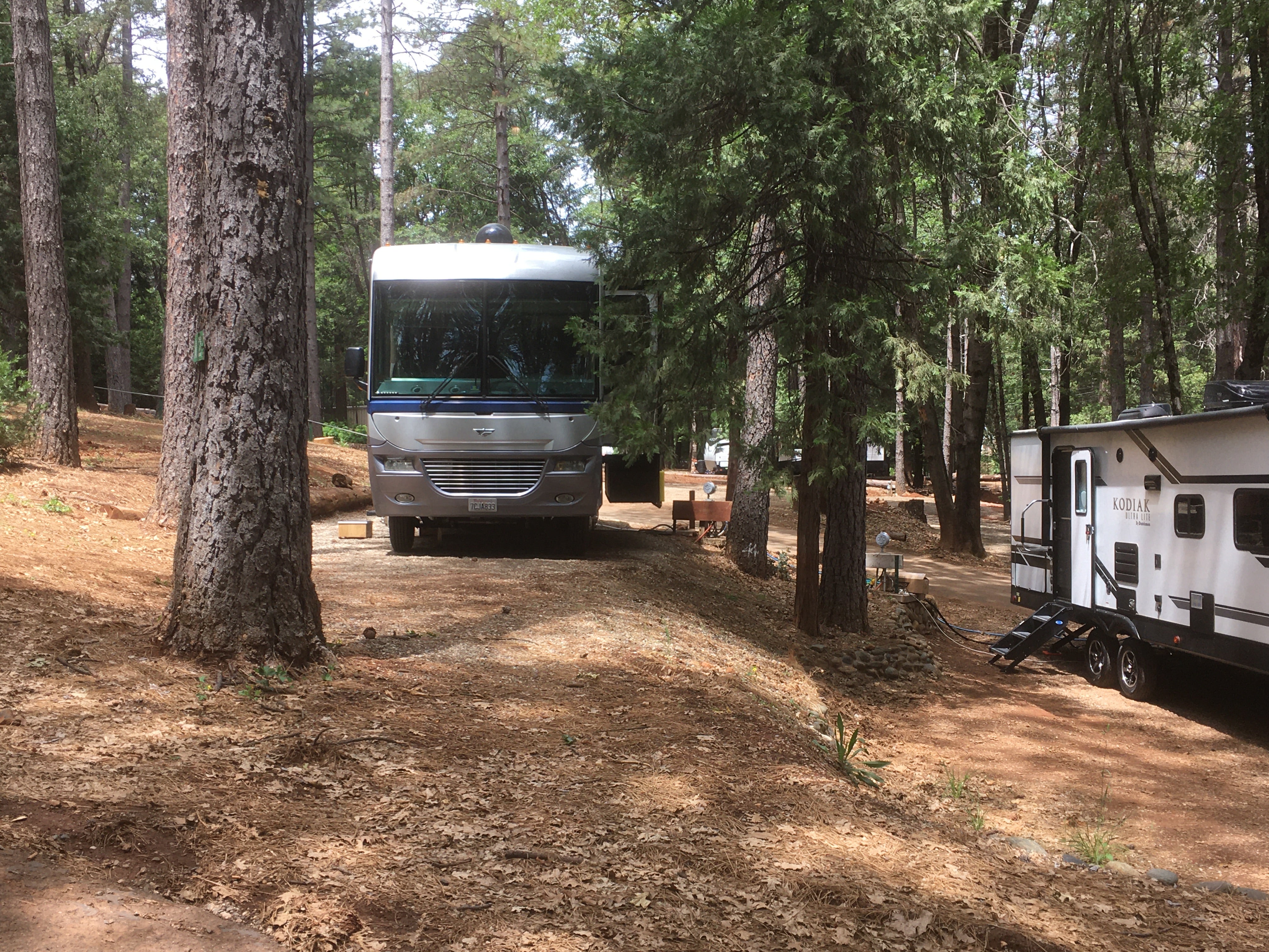 Camper submitted image from Paradise Pines Campgrounds - 2
