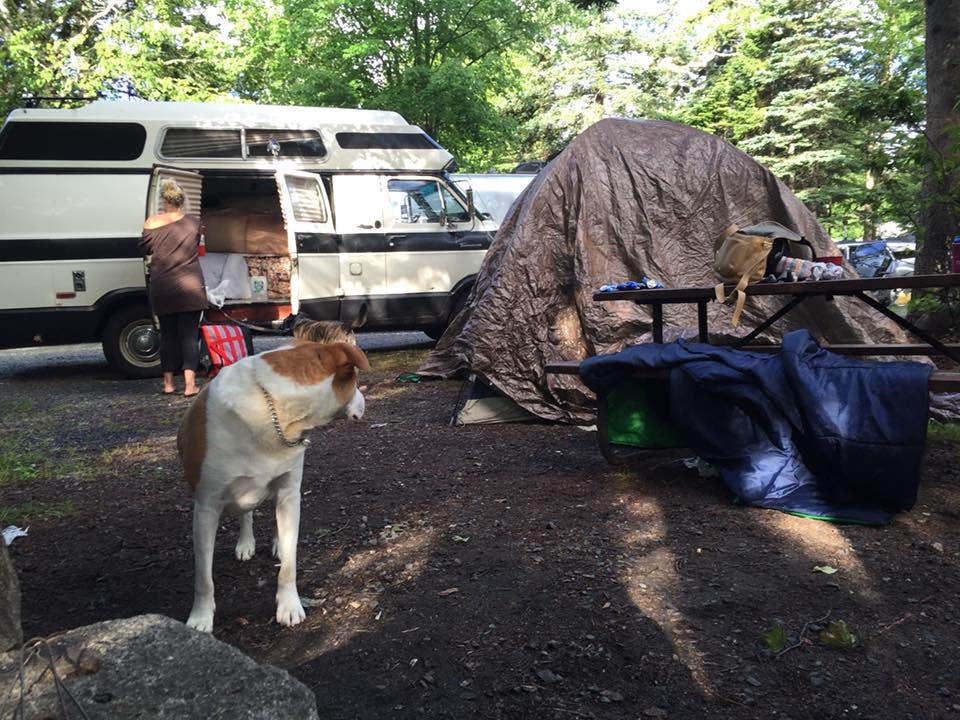 Daniel S.'s photo of rv camping at Pine Acres Resort near Suncook, NH